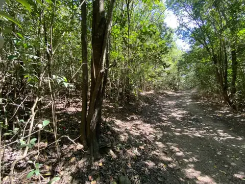 Terreno en Venta de 10999,0 m2