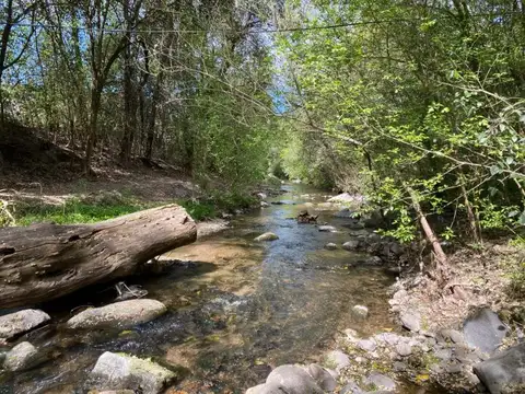 VENTA Lote en Salsipuedes una hectárea a un precio IMPERDIBLE!
