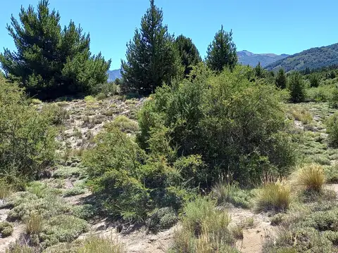 Terreno en Venta en Meliquina, USD 24.500