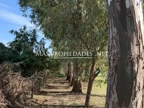 Terreno en Venta de 942,0 m2