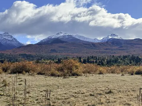 Terreno en Venta de 10000,0 m2