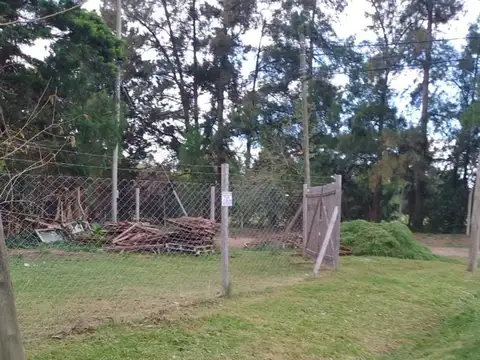 Terreno en Venta de 295,0 m2