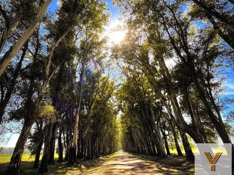 Terreno en Venta de 3404,0 m2