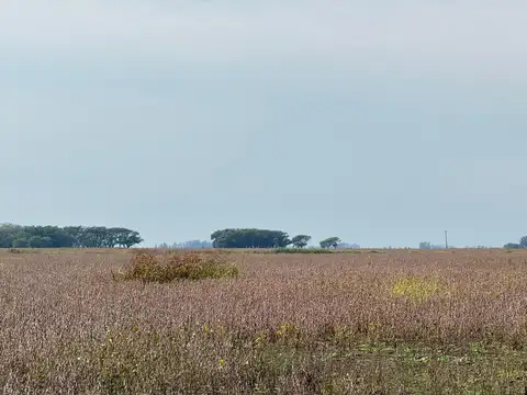 Establecimiento “Don Angel” Campo en Venta