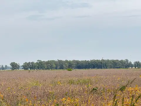 Campo en Venta Mixto