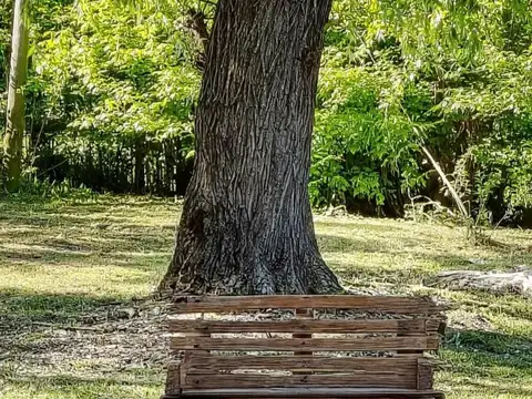 Quinta en venta - 3 Dormitorios 2 Baños - Chivilcoy