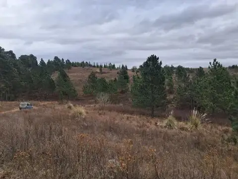 Terreno de 4109 m² en Loma del Tigre. Villa Berna.