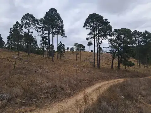 Terreno en Venta en Villa Berna, USD 42.000