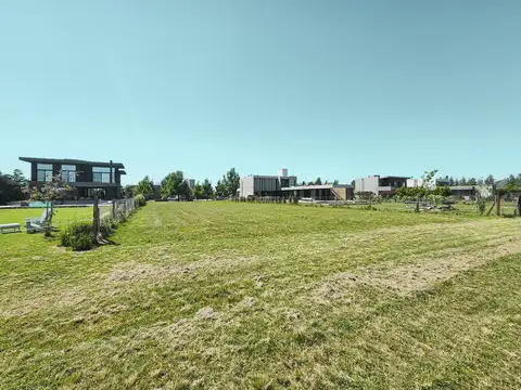 Lote 110 Puerto Roldan