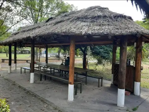 Federico Chopin 1700