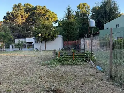 La Margarita e/ Avenida Roldan y Andrade