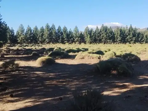 Terreno en Venta en Pilcaniyeu, USD 550.000