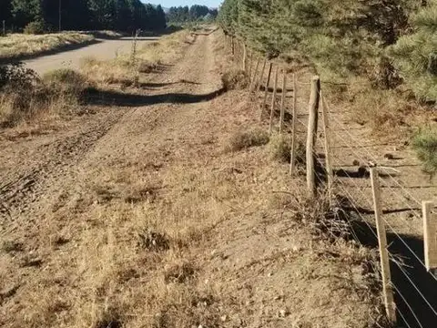 Terreno en Venta de 32000,0 m2