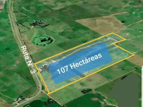 Campo con instalaciones de Feedlot en venta – Las Flores, B