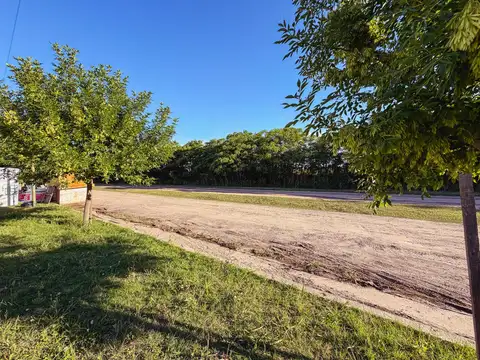 Terreno en Venta 31  mts Fondo