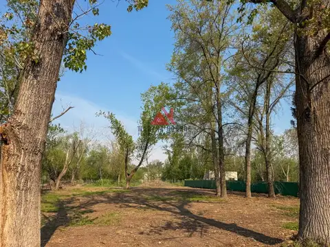 Terreno en Venta de 2275,0 m2