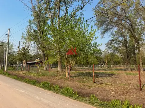 Los Pinos