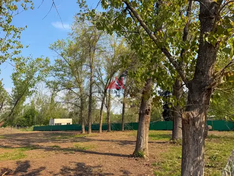 Terreno Lote  en Venta en Barrio Parque Los Pinos, Exaltación de la Cruz, G.B.A. Zona Norte