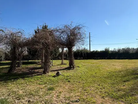 Terreno en Venta de 1090,0 m2
