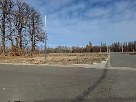 TERRENO EN VENTA BARRIO MIRA SUR PLOTTIER