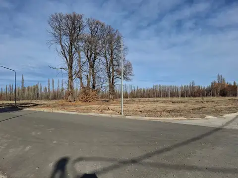 Terreno en Venta de 360,0 m2