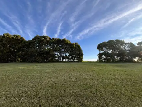 Terreno en Venta de 5000,0 m2