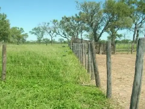 Campo en Venta Mixto