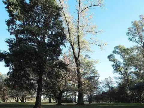 Terreno al Bosque en Venta - Almahué - La Lonja  Pilar