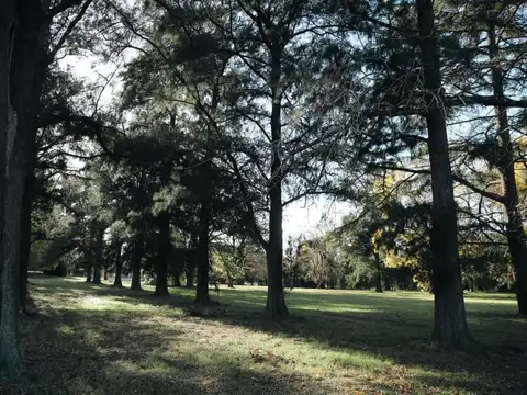 Terreno en Venta de 819,0 m2