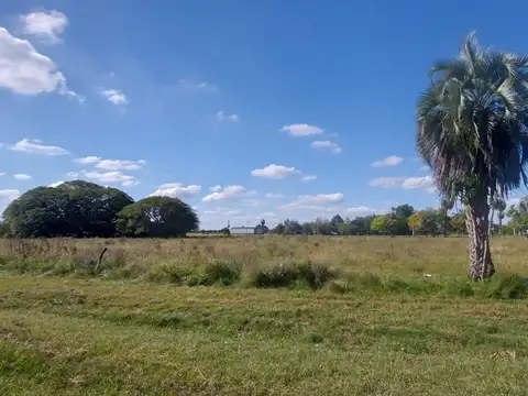 Terreno en Venta de 250,0 m2