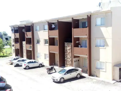 Casuarinas Premiun Venta