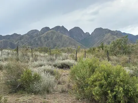 Terreno en Venta de 5000,0 m2