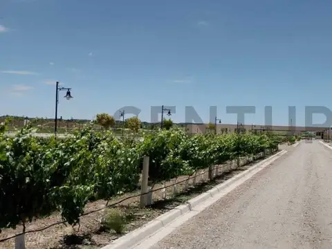 Terreno en Venta de 1000,0 m2