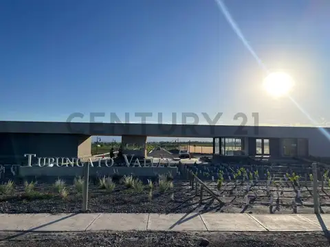 Terreno en Venta en Tupungato, USD 38.000