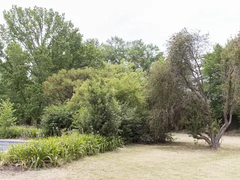 Terreno en  Venta