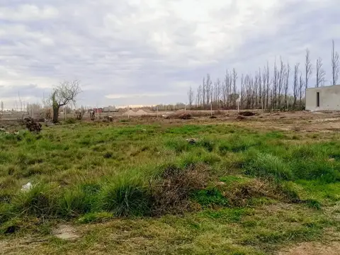 Terreno en Venta en Cipolletti, USD 59.500