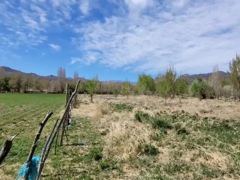 Uspallata,12400m2 - Hectarea en Zona Urbana. Apto agricola, comercial.