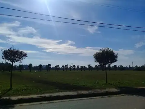 Terreno - Venta - Argentina, Lobos