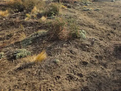 Av. Las Victorias al 2000