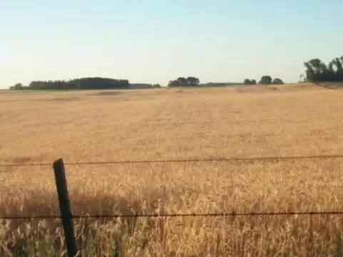 Ruta Provincial 65 - KM 391.3