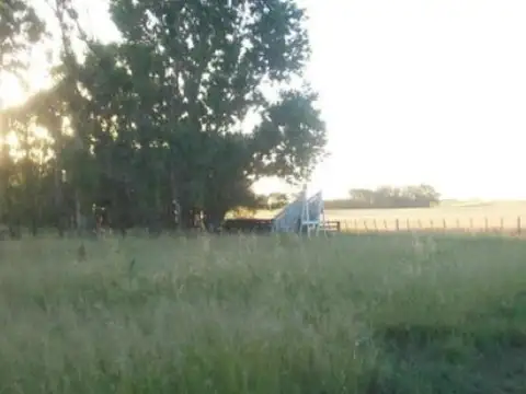 Ruta Provincial 65 - KM 391.3