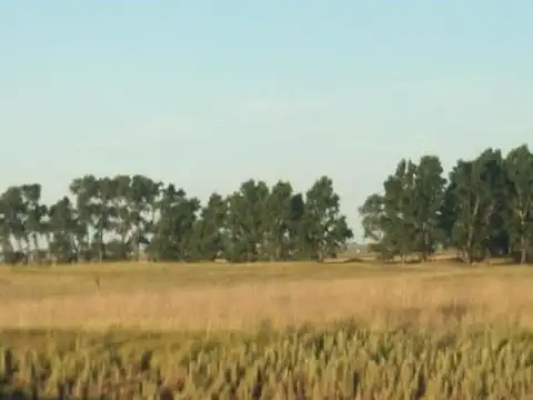 Campo en venta - 4.000.000Mts2 - Guaminí