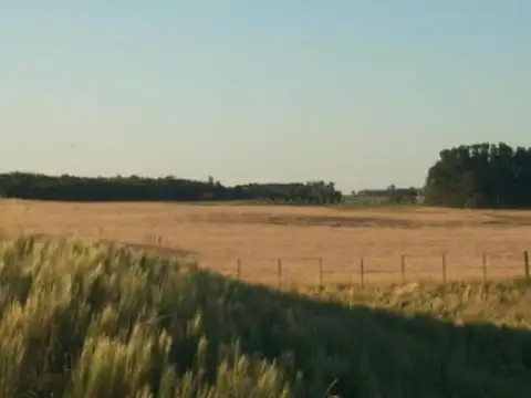 Ruta Provincial 65 - KM 391.3