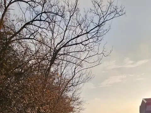 Terreno en Venta de 1141,0 m2