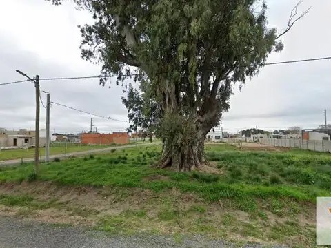 Terreno en Venta en Alejandro Petion, USD 20.500