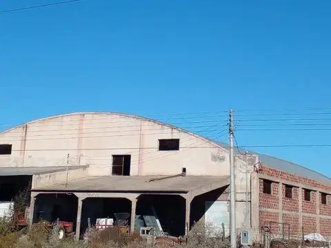 Paso de Los Andes