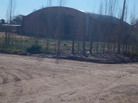 Paso de Los Andes