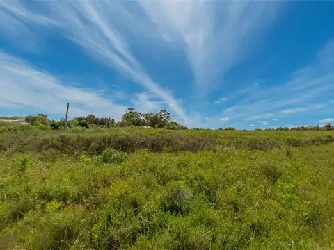TERRENOS/FRACCIONES/LOTEOS - TERRENOS - LIBERTAD