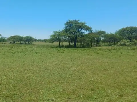VENTA DE TERRENO DE 10.000M² EN MERCEDES CTES