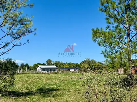 EL PAJARILLO